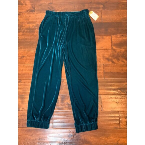 PatBo Azure Blue Luxe Velvet Jogger Pants, Size L, NWT! $425 - Picture 5 of 7